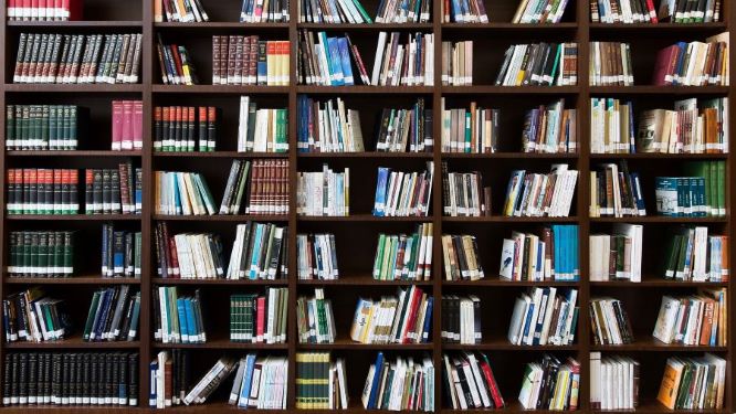 Bookshelf Of The Future