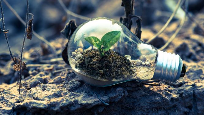 Greenwashing
